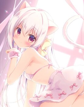 1girl animal_ears backlighting bare_shoulders bent_over bikini blurry blurry_background blush bow cat_ears cat_girl cat_tail closed_mouth commentary_request coron_(canvas+garden) depth_of_field female_focus from_side hair_between_eyes hair_bow kemonomimi_mode long_hair looking_at_viewer looking_to_the_side miyasaka_naco original pink_bow purple_skirt red_eyes skirt smile solo sunlight swimsuit tail tail_raised very_long_hair white_bikini white_hair yellow_bow rating:Sensitive score:40 user:danbooru