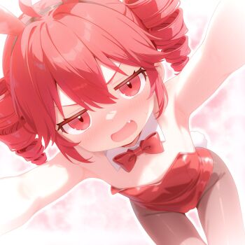  1girl animal_ear_hairband animal_ears armpits bare_shoulders black_pantyhose blush bow breasts cleavage detached_collar double-parted_bangs drill_hair fake_animal_ears fang hair_between_eyes hairband highleg highleg_leotard highres kasane_teto leaning_forward leotard loli looking_at_viewer oishii_shirokuma open_mouth pantyhose pink_background rabbit_ears rabbit_tail reaching reaching_towards_viewer red_bow red_eyes red_hair red_leotard sidelocks small_breasts solo strapless strapless_leotard tail thighs twin_drills utau white_background 