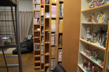  00s artoria_pendragon_(fate) azumanga_daiou character_request collection comic fate/stay_night fate_(series) figure long_hair lucky_star manga_(object) multiple_girls no_humans otaku_room photo_(medium) pillow rich_otaku saber_(fate) shelf short_hair 