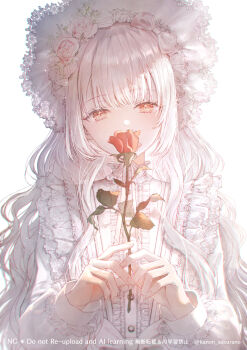  1girl bow center_frills chromatic_aberration commentary_request covered_mouth dress eyelashes flower frilled_cuffs frills hat highres holding holding_flower kanon_sakurano light_particles long_hair long_sleeves original red_eyes red_flower red_rose rose signature simple_background solo tareme upper_body white_background white_bow white_dress white_flower white_hair white_hat white_rose 