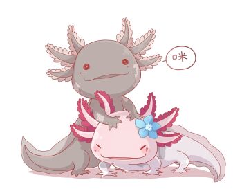  animal_focus animalization arm_support aroma_white asakura_neko axolotl blue_flower closed_eyes cytus cytus_ii flower hair_flower hair_ornament highres no_humans on_head rearing shadow simple_background speech_bubble squiggle_eyes white_background youzaiyouzai112  rating:General score:2 user:danbooru