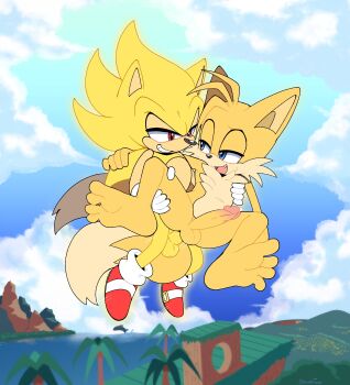  2boys anal barefoot blue_eyes blue_sky clothed_male_nude_male erection fang flying fox_boy furry furry_male gloves hedgehog multiple_boys nude ocean open_mouth outdoors precum red_eyes senshionart sex sex_from_behind shoes shota sky smile soles sonic_(series) sonic_the_hedgehog super_sonic tail tails_(sonic) toes tree yaoi 