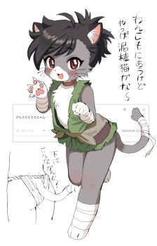  1girl animal_ears black_hair cat_ears cat_girl cat_tail commentary_request dororo_(character) dororo_(tezuka) fang fundoshi funifuchan furrification furry furry_female japanese_clothes loli looking_at_viewer open_mouth red_eyes tail 