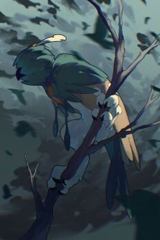  branch commentary decidueye flying gen_7_pokemon hashtag-only_commentary highres nintendo no_humans on_branch overcast pokemon pokemon_(creature) pokemon_focus sky solo_focus talons wulie_errr 