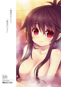 1girl bath black_hair breasts brown_hair collarbone female_focus hair_over_breasts long_hair minamura_haruki nude red_eyes reiuji_utsuho solo submerged touhou upper_body water rating:Questionable score:17 user:danbooru