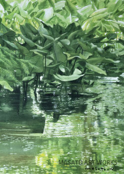  artist_name commentary_request day highres no_humans original painting_(medium) plant reflection reflective_liquid ripples scenery signature traditional_media watanabe_masato water watercolor_(medium) 