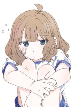  1girl absurdres blue_eyes brown_hair closed_mouth commentary_request gym_shirt highres idolmaster idolmaster_million_live! jitome knees_up looking_at_viewer medium_hair meeeeeeco359 shirt short_sleeves simple_background sitting solo suou_momoko white_background white_shirt 