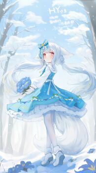 1girl animal_ears blue_bow blue_dress blush bouquet bow closed_mouth commission dress flower fox_ears fox_girl fox_tail from_behind full_body gloves hair_bow highres holding holding_bouquet long_hair long_sleeves low_twintails original outdoors pantyhose puffy_long_sleeves puffy_sleeves red_eyes sakurada_shiro_(hy_plus) signature snow solo standing tail twintails very_long_hair wangyq white_gloves white_hair white_pantyhose white_sleeves winter rating:General score:13 user:danbooru