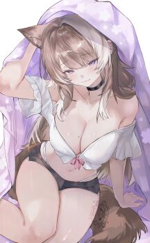  1girl animal_ears bare_shoulders black_choker black_shorts breasts brown_hair cat_ears cat_girl cat_tail choker cleavage collarbone crop_top extra_ears fang hand_up highleg highres large_breasts long_hair looking_at_viewer micro_shorts midriff mole mole_on_breast multicolored_hair navel off-shoulder_shirt off_shoulder panty_straps purple_eyes sakurai_hana sakurai_hana_(artist) shirt shorts solo stomach tail thighs two-tone_hair vdonburi virtual_youtuber white_shirt 