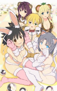  animal_ears asuka_(senran_kagura) bear_ears bear_girl bikini breasts cat_ears cleavage dog_ears fur-trimmed_thighhighs fur_trim large_breasts murasaki_(senran_kagura) pinball ponytail purple_hair rabbit_ears rabbit_girl ryouna_(senran_kagura) senran_kagura senran_kagura_peach_ball striped_bikini striped_clothes swimsuit tagme tanuki thighhighs yomi_(senran_kagura) yumi_(senran_kagura)  rating:Questionable score:38 user:ouranos