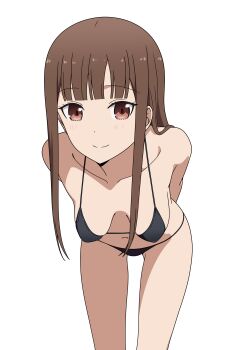  1girl absurdres bikini black_bikini breasts brown_eyes brown_hair closed_mouth coro_fae hanging_breasts highres iino_miko kaguya-sama_wa_kokurasetai_~tensai-tachi_no_renai_zunousen~ long_hair looking_at_viewer navel sidelocks small_breasts smile solo swimsuit 