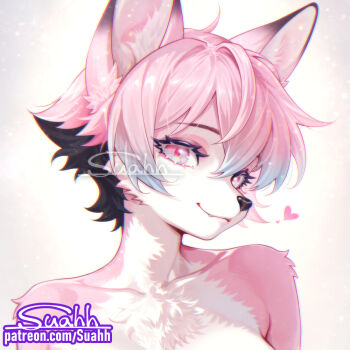  1girl ahoge animal_ear_fluff animal_ears animal_nose artist_name black_hair blue_hair body_fur chromatic_aberration closed_mouth collarbone colored_inner_hair colored_tips completely_nude fang fang_out female_focus furry furry_female hair_between_eyes happy heart light_particles looking_at_viewer multicolored_hair nude original patreon_username pink_eyes pink_fur pink_hair pink_theme short_hair sidelocks signature simple_background smile snout solo suahh two-tone_fur upper_body watermark web_address white_background white_fur wolf_ears wolf_girl  rating:Sensitive score:0 user:AngryZapdos