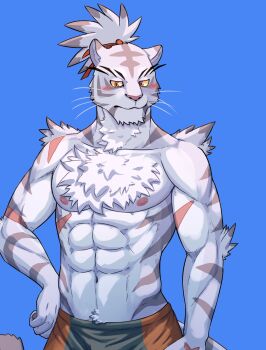  1boy abs bara blush chest_hair closed_mouth colored_sclera commentary english_commentary furry furry_male hierotubas highres long_eyebrows male_focus male_swimwear muscular muscular_male nimbus_(world_flipper) nipples ponytail pubic_hair pubic_hair_peek swim_trunks tiger_boy whiskers world_flipper yellow_sclera 