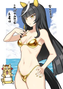  1girl animal_ears animalization bare_shoulders bikini black_hair blunt_bangs breasts calstone_light_o_(umamusume) cloud collarbone commentary_request dog durandal_(umamusume) ear_covers gold_bikini hime_cut horse_ears horse_girl horse_tail long_hair multicolored_hair navel ocean parted_lips recursive_animalization small_breasts stomach streaked_hair swimsuit tail tongue tongue_out umamusume white_hair yellow_eyes zasshu_nigou 
