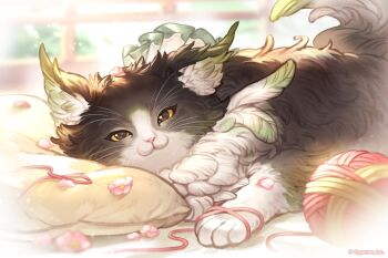  1girl :3 animal_ears cat_ears commentary_request ewiyar_(granblue_fantasy) granblue_fantasy looking_at_viewer lying no_humans official_alternate_costume on_stomach pillow solo whiskers window yarn yarn_ball yellow_eyes 