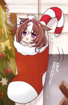  1girl @_@ ahoge blurry blurry_background blush brown_hair candy candy_cane chibi christmas christmas_stocking christmas_tree commentary_request depth_of_field fireplace food hair_between_eyes hairband hands_up highres meisho_doto_(umamusume) mini_person minigirl multicolored_hair pink_hairband purple_eyes solo star_(symbol) tears translation_request trembling two-tone_hair umamusume usako_(umauma0602) white_hair 