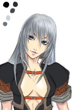  1girl blue_eyes breasts capcom cleavage female_focus grey_hair meran_(armor) monster_hunter_(series) monster_hunter_frontier solo 