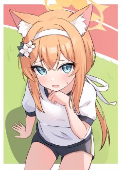 1girl absurdres animal_ear_fluff animal_ears blue_archive blue_eyes blush flower gym_shirt gym_uniform hair_flower hair_ornament hairband halo highres long_hair looking_at_viewer mari_(blue_archive) mari_(track)_(blue_archive) nonddu official_alternate_costume open_mouth orange_hair shirt short_sleeves solo sweatdrop white_hairband rating:Sensitive score:24 user:danbooru