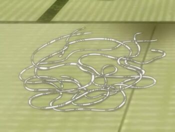  1boy 1girl animated ass ass_focus bed blue_hair blush bouncing_breasts breasts butt_crack cowgirl_position cum cunnilingus doggystyle fellatio hetero jordh kawakami_kousuke large_breasts licking licking_penis megachu! moaning nipples nude on_bed oral orgasm paizuri penis sex sex_from_behind short_hair straddling tagme top-down_bottom-up undressing video yellow_eyes  rating:Explicit score:31 user:SRW30