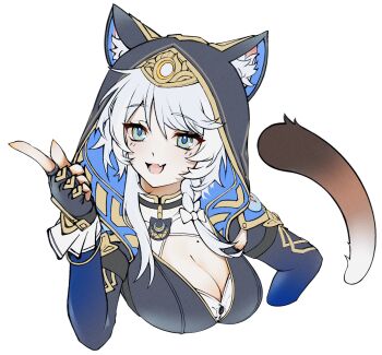  1girl :d animal_ear_fluff animal_ears black_gloves blue_eyes braid breasts cat_ears cat_tail cipher_(honkai:_star_rail) cleavage fang fingerless_gloves gloves grey_hair highres honkai:_star_rail honkai_(series) medium_breasts medium_hair mole mole_on_chest open_mouth pointing puyopuyo_10 simple_background single_braid skin_fang smile solo tail white_background  rating:Sensitive score:6 user:danbooru