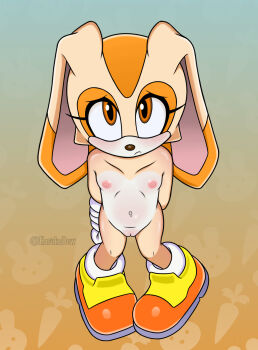  1girl brown_eyes cream_the_rabbit loli nipples nude pussy sonic_(series) 
