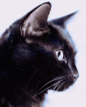  animal animal_focus black_cat cat close-up highres ilya_kuvshinov no_humans original white_background 