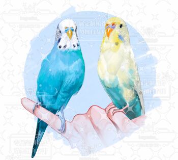  1other animal animal_focus animal_on_hand bird blue_background bluebluecathy commentary_request commission disembodied_hand looking_at_viewer original parrot two-tone_background watermark white_background 