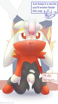  2026 absurdres adult_on_young animal_abuse bad_tag blush cinderace cum cum_in_mouth cum_in_pussy cum_on_body embarrassed english_text facial flaccid foreskin furry furry_male gen_8_pokemon highres nintendo nude open_mouth penis pokemon rabbit raboot rape red_eyes sex simple_background size_difference smile talking testicles tongue torn_clothes wet wet_clothes white_fur yaoi zpectralkrystal 