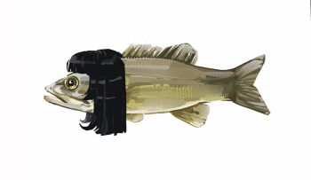  animal animal_focus animal_with_hair black_hair fish fish_request full_body highres junbuug no_humans original simple_background solo white_background  rating:General score:1 user:danbooru