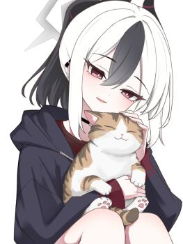  1girl :3 animal animal_ears animal_hands black_choker black_hair black_hoodie black_horns blue_archive bright_pupils cat cat_ears cat_paws cat_tail choker crossed_bangs demon_horns demon_wings ear_piercing earclip grey_halo hair_between_eyes halo headpat highres hncstk holding holding_animal holding_cat hood hood_down hoodie horns kayoko_(blue_archive) long_eyelashes medium_hair multicolored_hair open_mouth orange_cat piercing ponytail problem_solver_68_(blue_archive) raised_eyebrows red_eyes sidelocks simple_background sitting smile solo tail two-tone_hair white_background white_cat white_hair white_pupils wings zipper 