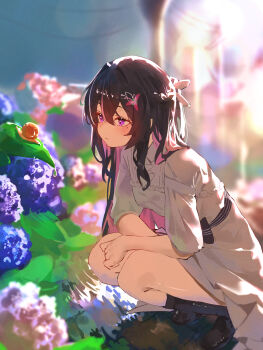  1girl absurdres azki_(hololive) black_hair black_socks bloom blurry blush boots braid bug closed_mouth collared_dress colored_inner_hair commentary depth_of_field double-parted_bangs dress flower grey_dress hair_between_eyes hair_flower hair_intakes hair_ornament hairclip half_updo highres hololive hydrangea long_hair mole mole_under_eye multicolored_hair nagiushi official_alternate_costume official_alternate_hair_length official_alternate_hairstyle outdoors pink_flower pink_hair puddle purple_eyes ripples snail socks solo squatting streaked_hair two-tone_hair virtual_youtuber white_dress 