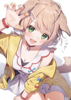  1girl :d ahoge animal_ears arm_up bare_shoulders blue_bow blurry_border blush bone_hair_ornament bow breasts brown_hair buckle claw_pose cleavage collar collarbone commentary_request cosplay dog_ears dog_girl dog_tail dress fangs fingernails from_above green_eyes hair_ornament hairclip highres hololive inugami_korone inugami_korone_(cosplay) jacket kemonomimi_mode long_fingernails long_sleeves looking_at_viewer looking_up low_twintails medium_breasts nail_polish off_shoulder open_clothes open_jacket open_mouth partial_commentary pom_pom_(clothes) red_bow shigure_ui_(vtuber) short_hair short_twintails simple_background sitting smile solo tail toki_(toki_ship8) translated twintails virtual_youtuber white_background white_dress wristband yellow_jacket yellow_nails 