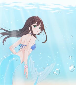  1girl :o absurdres bikini bikini_top_only brown_hair green_eyes highres idolmaster idolmaster_cinderella_girls mermaid monster_girl rinshi scrunchie shibuya_rin swimsuit tail  rating:Questionable score:13 user:fekler99