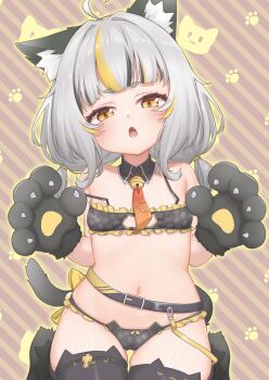  1girl :o absurdres animal_ear_legwear animal_ears animal_hands bell belt black_bra black_hair black_panties black_thighhighs blonde_hair bra breasts brown_background cat_ear_legwear cat_ears cat_girl cat_lingerie cat_tail detached_collar diagonal-striped_background embarrassed empty_eyes fang fourierkaeru gloves gluteal_fold grey_hair highres indie_virtual_youtuber kneeling loli looking_at_viewer low_twintails medium_hair multicolored_hair navel neck_bell necktie omaimaimai_(vtuber) open_mouth outer_glow panties paw_gloves paw_print paw_print_background paw_shoes red_necktie ribbon see-through_bra see-through_clothes see-through_panties skindentation small_breasts solo stomach streaked_hair striped_background sweat tail thighhighs twintails underwear virtual_youtuber yellow_eyes yellow_ribbon 
