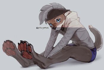  1girl animal_ears animal_hands artist_name blue_eyes blue_shorts closed_mouth commentary commission dog_ears dog_girl dog_tail english_commentary furry furry_female grey_background grey_hair grey_hoodie highres hood hood_down hoodie long_sleeves original pita-potato short_hair shorts simple_background sitting solo tail 