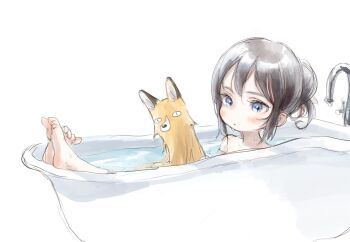  1girl animal barefoot bathing bathtub blue_eyes blush child faucet feet female_focus fox hair_bun highres nenena original partially_submerged silver_hair simple_background single_hair_bun toes water wet white_background  rating:General score:15 user:Dweenie