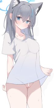  1girl absurdres animal_ear_fluff animal_ears bar_censor blue_archive blue_eyes blue_halo blush breasts bright_pupils censored closed_mouth collarbone commentary_request cowboy_shot cross_hair_ornament earrings extra_ears grey_hair groin hair_ornament halo highres jewelry looking_at_viewer medium_breasts mismatched_pupils naked_shirt nui_(nuinui0300) pussy shiroko_(blue_archive) shirt short_sleeves simple_background smile solo stud_earrings white_background white_pupils white_shirt wolf_ears wolf_girl 
