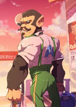  1boy animal_crossing bag green_overalls holding holding_bag layeyes looking_at_viewer looking_back male_focus muscular muscular_male nintendo overalls red_sky shirt sky standing sunset white_shirt  rating:General score:0 user:liquorice2