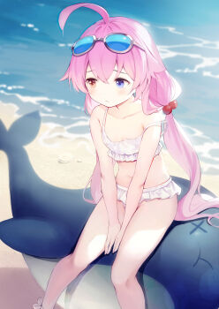 1girl absurdres ahoge bare_arms bare_shoulders beach between_legs bikini blue-tinted_eyewear blue_archive blue_eyes blush closed_mouth commentary_request day eyewear_on_head feet_out_of_frame frilled_bikini frills grey-framed_eyewear hair_between_eyes hair_bobbles hair_ornament hand_between_legs heterochromia highres hoshino_(blue_archive) hoshino_(swimsuit)_(blue_archive) inflatable_toy inflatable_whale leilin long_hair looking_away low_twintails navel outdoors own_hands_together pink_hair red_eyes sand solo strap_slip swimsuit tinted_eyewear twintails very_long_hair water white_bikini rating:Sensitive score:26 user:danbooru