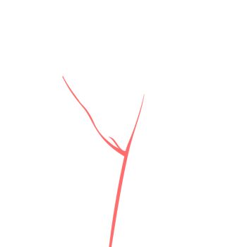  branch commentary cuteandfunny english_commentary highres kani-chan_(cuteandfunnyn3t) misleading_thumbnail no_humans original sexually_suggestive simple_background twig white_background yonic_symbol 