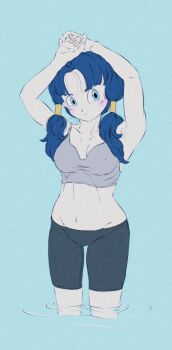  1girl armpits artroom113 bike_shorts black_hair blue_eyes bra breasts closed_mouth commentary_request dragon_ball dragonball_z highres long_hair looking_at_viewer navel solo twintails underwear videl water 