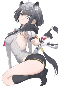  1girl :3 absurdres ahoge animal_ear_fluff animal_ears arknights arknights:_endfield black_eyes black_gloves black_hair black_shorts black_socks breasts closed_mouth extra_ears eyepatch fingerless_gloves from_side gloomyowl gloves grey_eyes grey_hair grey_shirt hair_ornament highres hood kneehighs kneeling leotard long_hair looking_at_viewer medium_breasts one_eye_covered shirt short_shorts short_sleeves shorts sideboob simple_background smile socks solo tail tangtang_(arknights) thighs tiger_ears tiger_girl tiger_tail white_background 