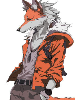  1boy animal_ear_fluff animal_ears animal_nose body_fur closed_mouth commentary fox_boy fox_ears fox_tail furry furry_male highres male_focus simple_background snout solo standing tail 