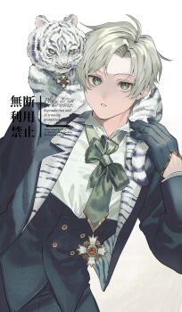  1boy animal black_gloves black_pants black_suit bow buttons collared_shirt cowboy_shot forehead formal_clothes gloves green_bow green_eyes highres jacket long_sleeves looking_at_viewer male_focus medal mege_(megechan) original pants parted_lips shirt short_hair simple_background solo suit suit_jacket teeth tiger white_background white_hair white_shirt white_tiger white_tiger_print 