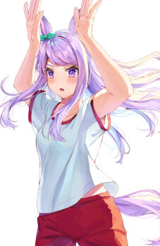  1girl absurdres animal_ears aqua_bow arms_up blush bow breasts collarbone commentary_request ear_bow ear_ribbon gym_shirt gym_uniform hands_up highres horse_ears horse_girl horse_tail long_hair mejiro_mcqueen_(umamusume) open_mouth purple_eyes purple_hair red_shorts shirt short_sleeves shorts simple_background small_breasts solo tail tracen_training_uniform umamusume white_background white_shirt yoru_usagi 
