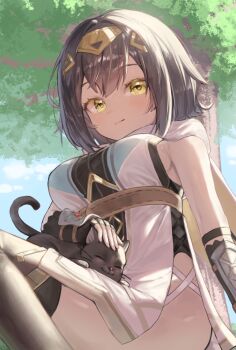  1girl :3 :| amber_(stella_sora) ao_hoshi arm_guards belt black_cat black_gloves black_hair black_leotard breasts brown_belt cat closed_eyes closed_mouth cloud commentary_request cross-laced_clothes cross-laced_dress cross-laced_slit day dot_nose double-parted_bangs elbow_gloves fingerless_gloves from_below gloves hair_between_eyes highleg highleg_leotard highres large_breasts leotard looking_at_viewer looking_down outdoors petting short_hair sideboob sideless_dress sidelocks sitting sleeveless solo stella_sora thighs tree yellow_eyes 