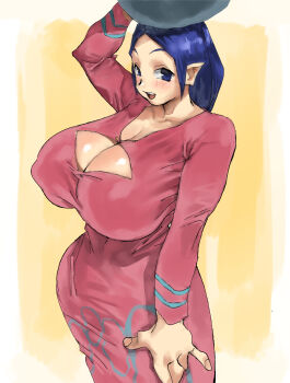  1girl alternate_breast_size_(larger) balancing_on_head blush breasts cleavage cleavage_cutout clothing_cutout commentary_request dress highres huge_breasts jar long_hair looking_at_viewer nintendo object_on_head open_mouth pointy_ears purple_hair shino_(2919) smile solo sue-belle the_legend_of_zelda the_legend_of_zelda:_the_wind_waker 