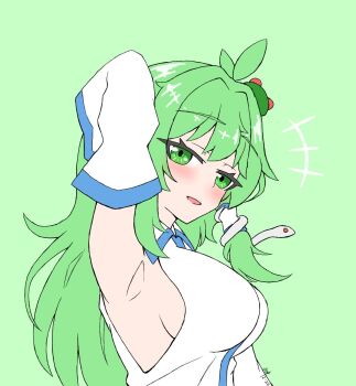  1girl breasts daikoko detached_sleeves frog_hair_ornament green_eyes green_hair hair_ornament highres kochiya_sanae long_hair mountain_of_faith nontraditional_miko snake_hair_ornament touhou 