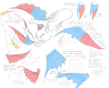  anatomy art_study blue_wings closed_eyes commentary creature creature_focus english_commentary english_text feathered_wings flying highres human_head jejejunum monochrome nethermare open_mouth original paper partially_colored red_wings simple_background spread_wings tail traditional_harpy white_background wings 