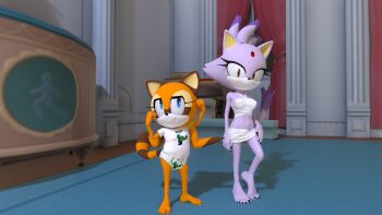 2girls 3d blaze_the_cat crop_top feet furry highres jewelry marine_the_raccoon multiple_girls necklace ponytail sega shirt skirt sonic_(series) underwear viewportnorm